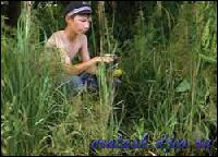 2106[0] (250x180, 17 kБ...)