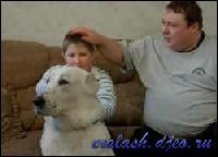 2175[0] (250x180, 9 kБ...)