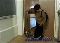 2221[0] (250x180, 9 kБ...)