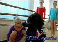 2241[0] (250x180, 12 kБ...)