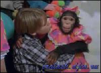 2269[0] (250x180, 11 kБ...)