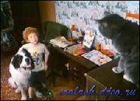 2286[0] (250x180, 14 kБ...)