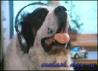 2288[0] (250x180, 10 kБ...)