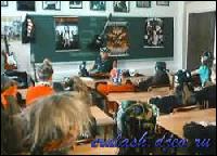 2295[0] (250x180, 16 kБ...)