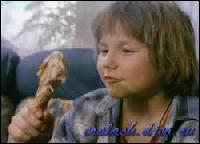 2340[0] (250x180, 11 kБ...)