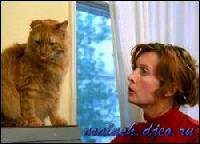 2376[0] (250x180, 13 kБ...)