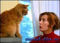 2377[0] (250x180, 12 kБ...)