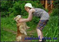 2382[0] (250x180, 15 kБ...)