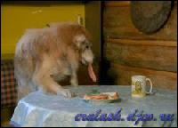 2384[0] (250x180, 11 kБ...)