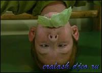 2432[0] (250x180, 8 kБ...)